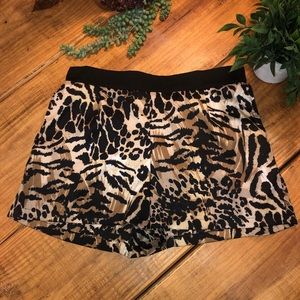 Gianni Bini Shorts